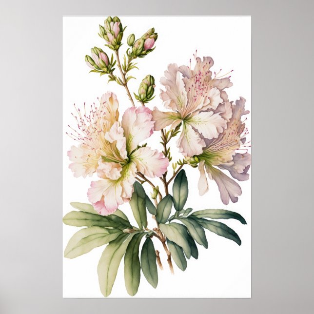 White Azalea Flowers Art Print Poster (Front)