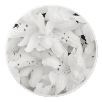 White Azalea Flowers Photography Art Ceramic Knob by TheBrideShop at Zazzle