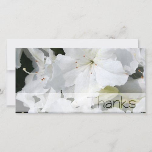 White Azalea Thank You Photo Card