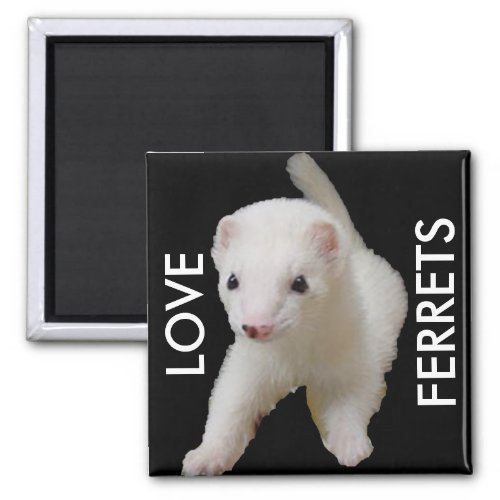 White Baby Ferret Magnet