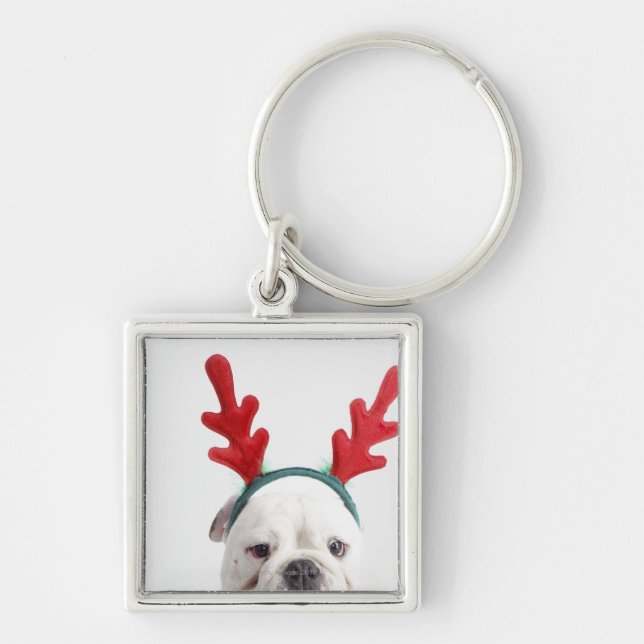white background, white male bulldog, red keychain (Front)