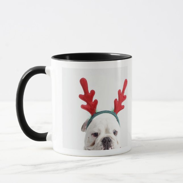 white background, white male bulldog, red mug (Left)
