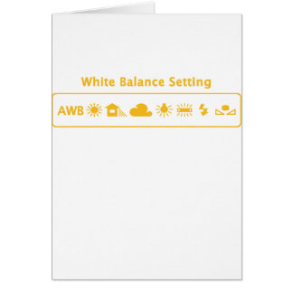 White Balance Cards