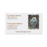 White Barn Owl Business Cards