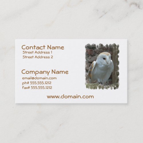 White Barn Owl Business Cards