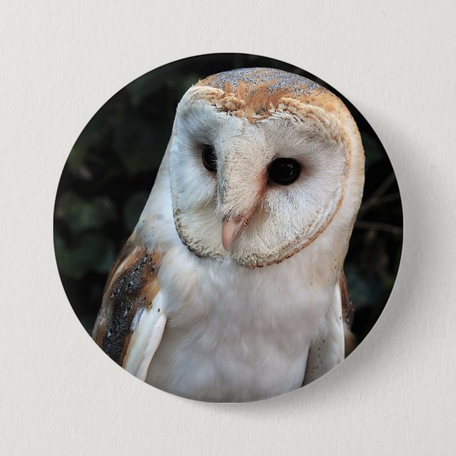 White Barn Owl Pinback Button (Front)