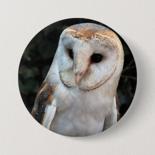 White Barn Owl Pinback Button