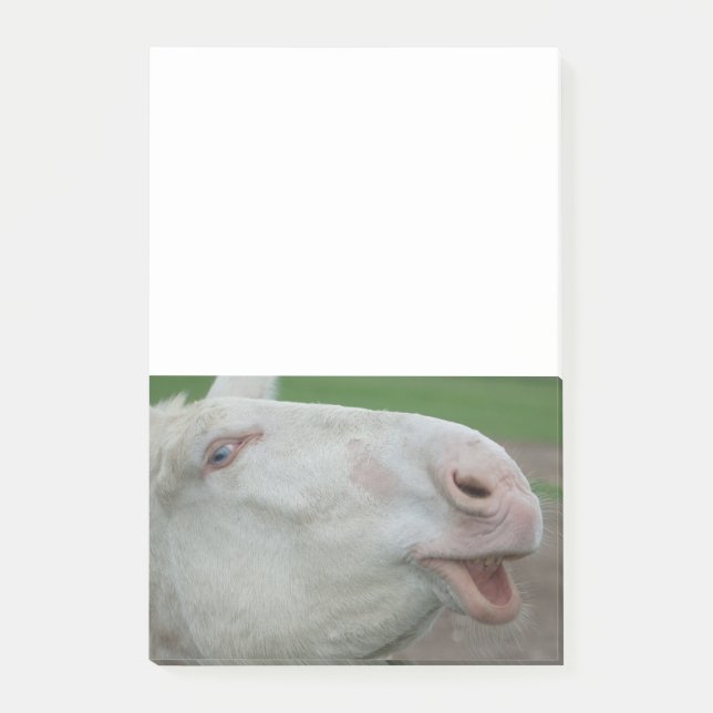 White Baroque Donkey Post-it Notes (Front)
