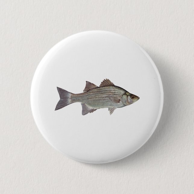 White Bass Logo Pinback Button (Front)