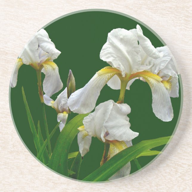 White Bearded Iris Blossoms Coaster (Front)