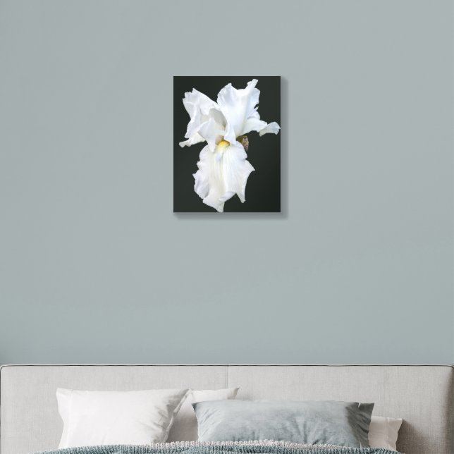 White Bearded Iris on Black Background Acrylic Photo Tile (Bedroom)