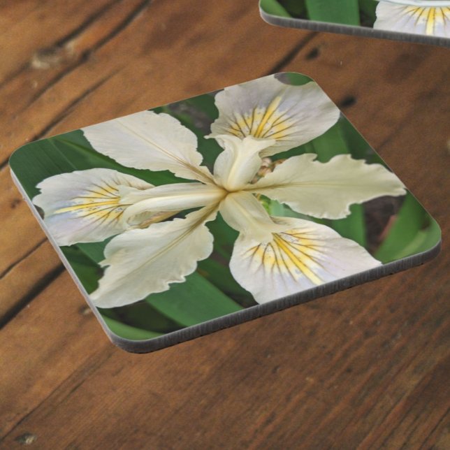 White Beardless Iris Bloom Floral Beverage Coaster (In Situ)