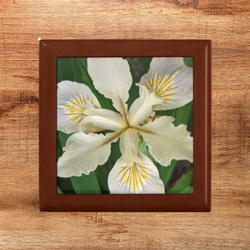 White Beardless Iris Bloom Floral Gift Box