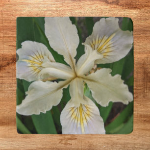 White Beardless Iris Bloom Floral Trivet