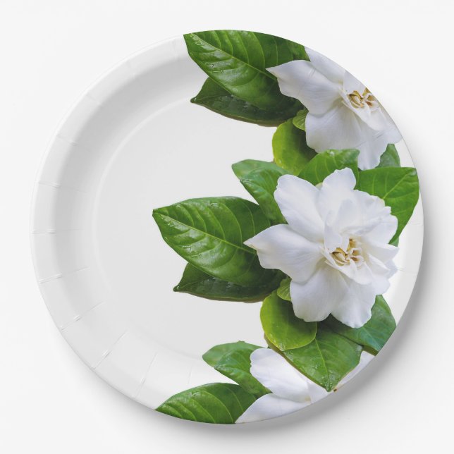 White beautiful gardenia flowers on white paper plates (Front)
