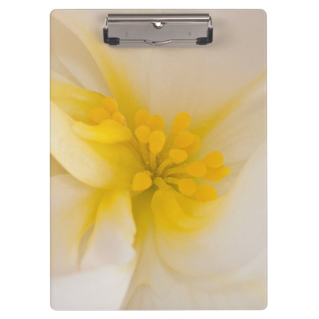 White Begonia Clipboard (Front)