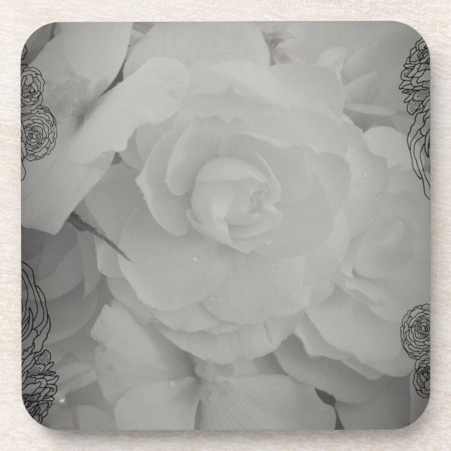 White Begonia Drink Coaster (Front)