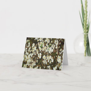 White Begonia Photo Folded Note Card