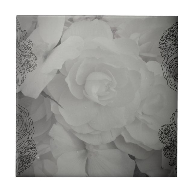 White Begonia Tile (Front)