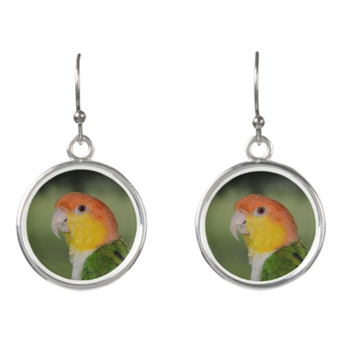 White Bellied Caique Parrot Outdoors Earrings