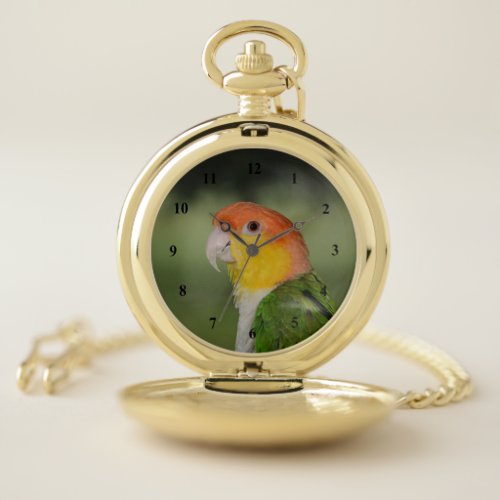 White Bellied Caique Parrot Outdoors Pocket Watch