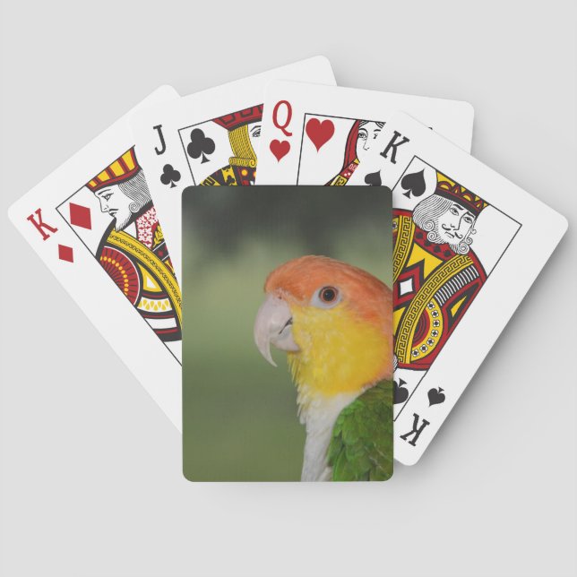 White Bellied Caique Parrot Outdoors Poker Cards (Back)