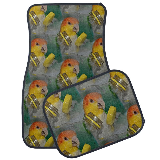 White Bellied Caique Parrot Playing Car Floor Mat (Set)