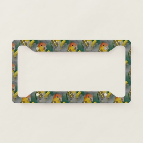 White Bellied Caique Parrot Playing License Plate Frame