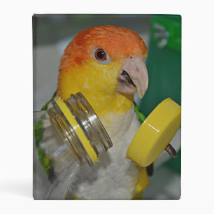 White Bellied Caique Parrot Playing Mini Binder