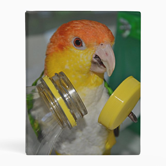 White Bellied Caique Parrot Playing Mini Binder (Front)