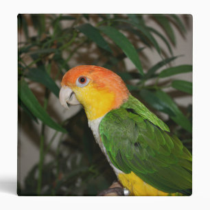 White Bellied Caique Parrot with Bamboo Tree 3 Ring Binder