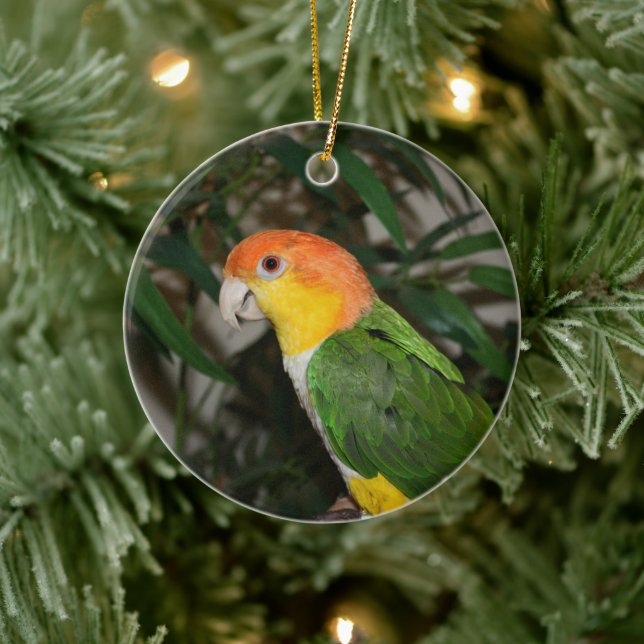 White Bellied Caique Parrot with Bamboo Tree Ceramic Ornament (Tree)