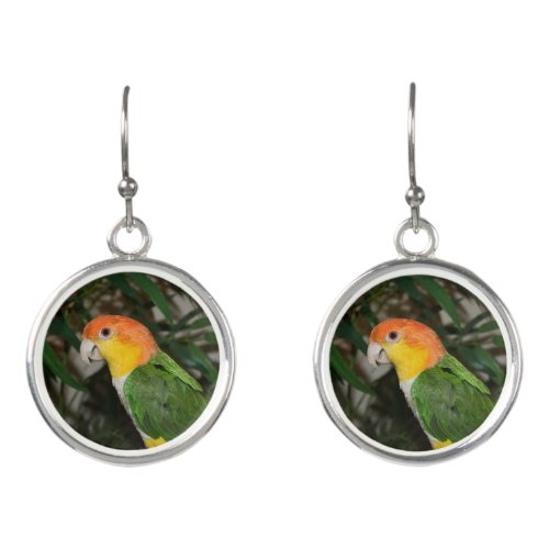 White Bellied Caique Parrot with Bamboo Tree Earrings