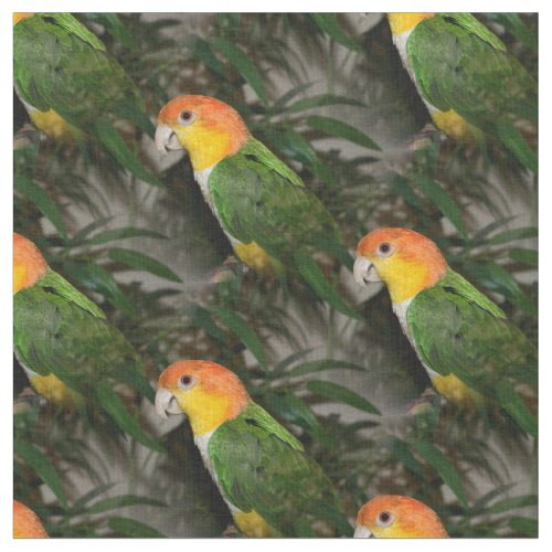 White Bellied Caique Parrot with Bamboo Tree Fabric