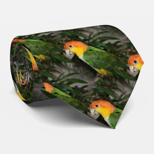 White Bellied Caique Parrot with Bamboo Tree Neck Tie