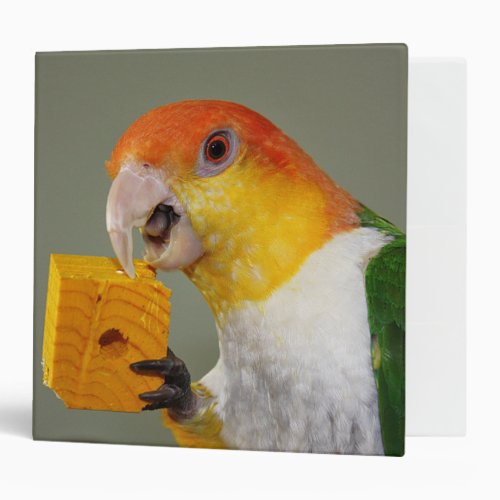 White Bellied Caique Parrot With Wood Block Toy 3 Ring Binder