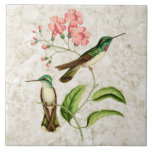 White Bellied Hummingbirds Vintage Nature Art Tile at Zazzle