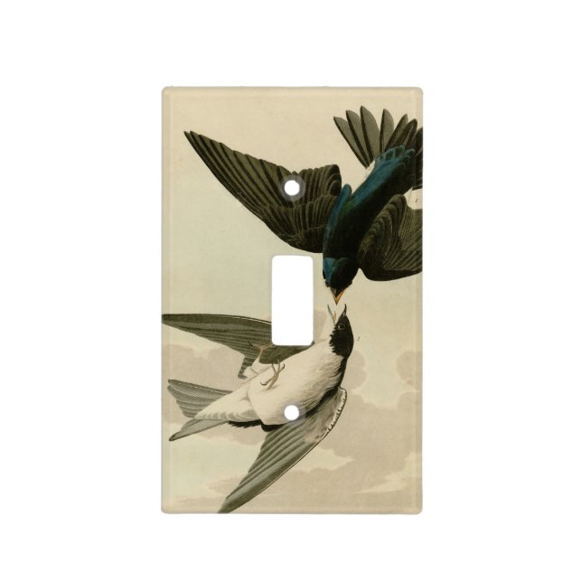 White-bellied (Tree) Swallow - Audubon's Birds Light Switch Cover (Front)