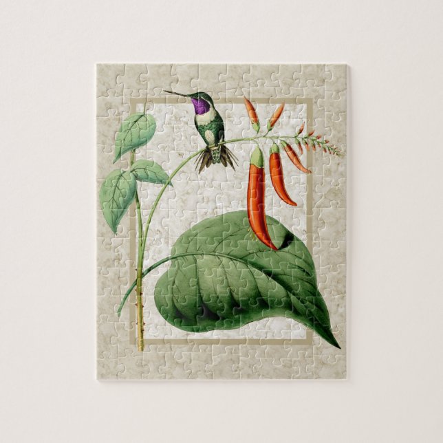 White Bellied Wood Star Hummingbird Puzzle (Vertical)