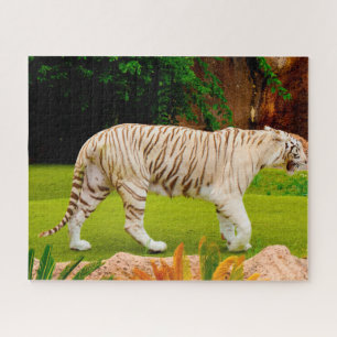 White Bengal Tiger. Big Cats. Jigsaw Puzzle