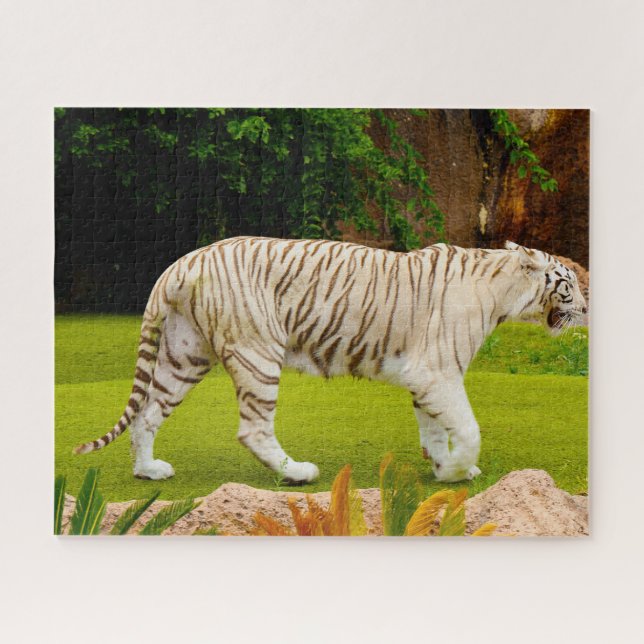 White Bengal Tiger. Big Cats. Jigsaw Puzzle (Horizontal)