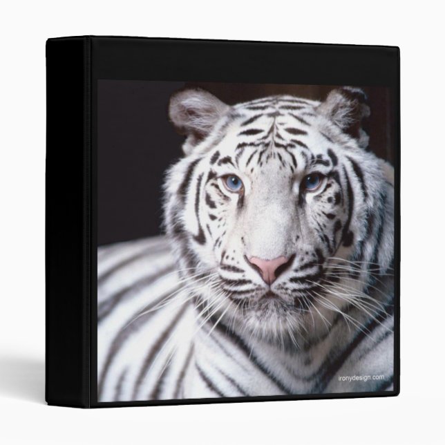 White Bengal Tiger Binder (Front/Spine)