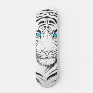 Bengal Skateboards & Outdoor Gear