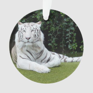 white bengal tiger ornament