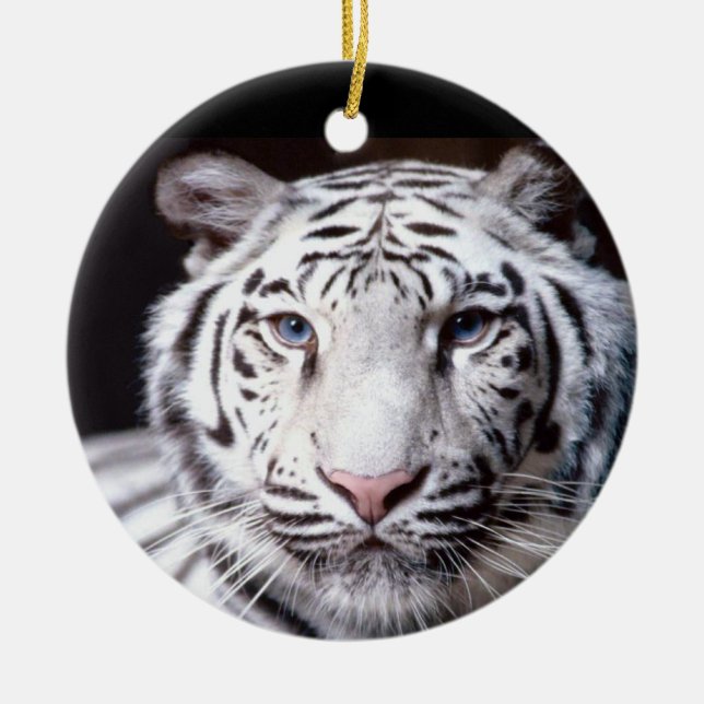 White Bengal Tiger Photography Ceramic Ornament (Front)
