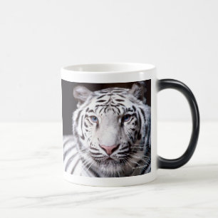 White Bengal Tiger Photography Color Morph Mug