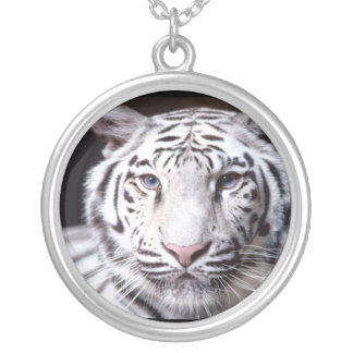 White Bengal Tiger Photography Silver Plated Necklace