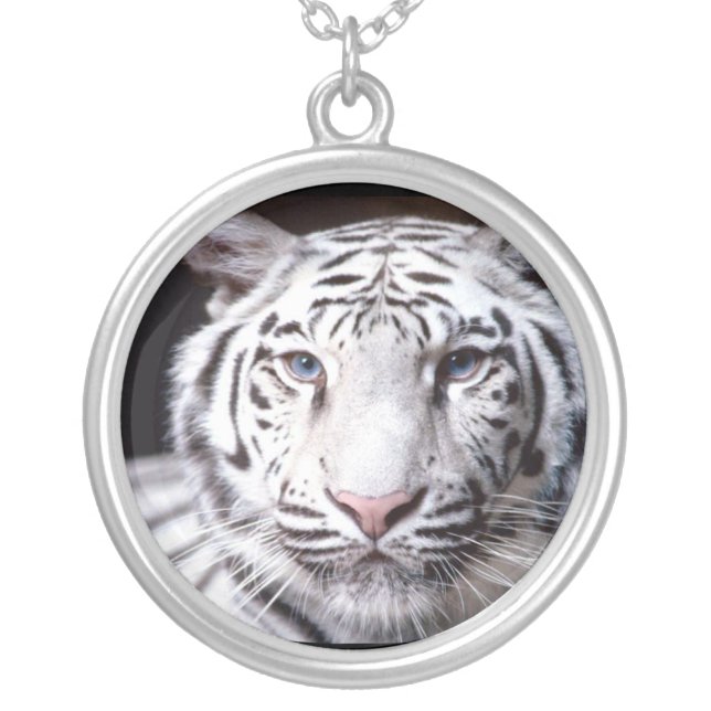 White Bengal Tiger Photography Silver Plated Necklace (Front)