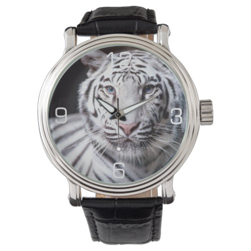 White Bengal Tiger Photography Wrist Watch
