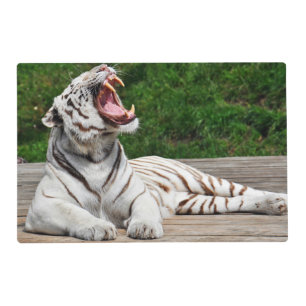 White Bengal Tiger Placemat